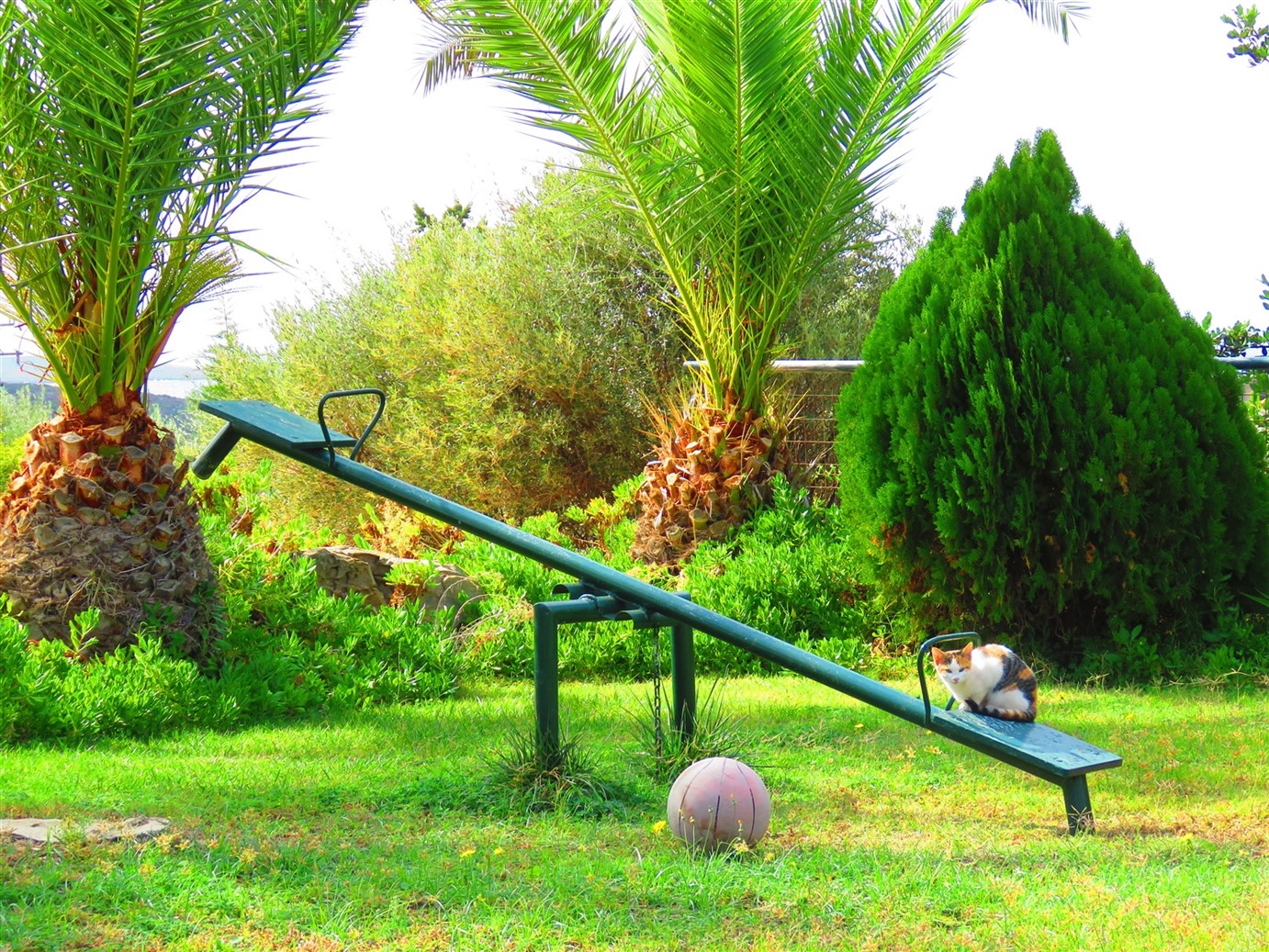 Aloni Suites